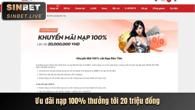 Cập Nhật Chương Trình VIP